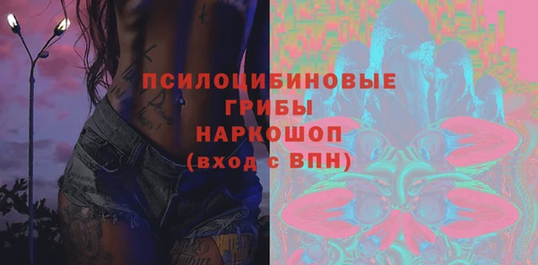 крисы Новозыбков