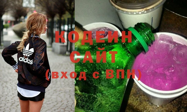крисы Новозыбков