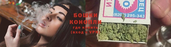 крисы Новозыбков