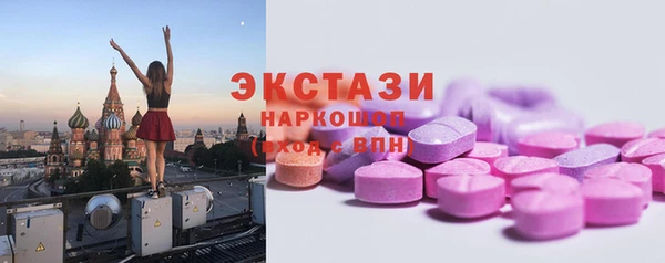 крисы Новозыбков