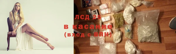 крисы Новозыбков