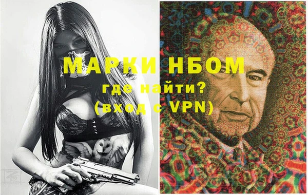 крисы Новозыбков