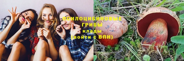 крисы Новозыбков