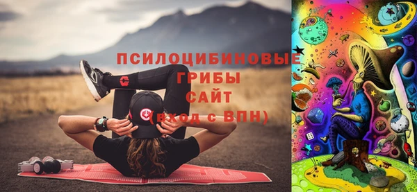 таблы Новодвинск