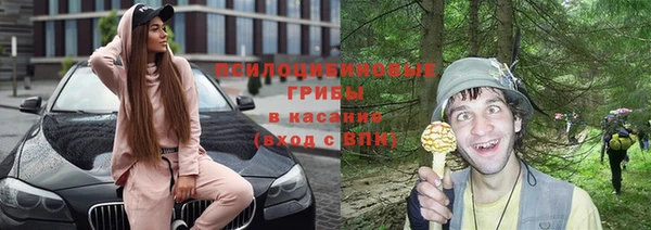 Альфа ПВП Новокубанск