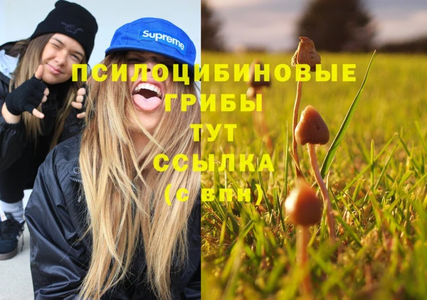 Альфа ПВП Новокубанск