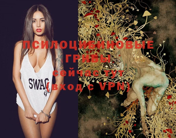 крисы Новозыбков