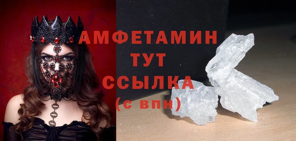 крисы Новозыбков