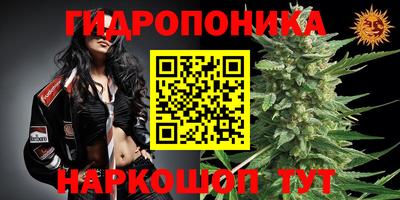 MDMA Будённовск