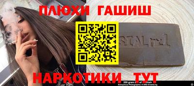 стафф Гатчина