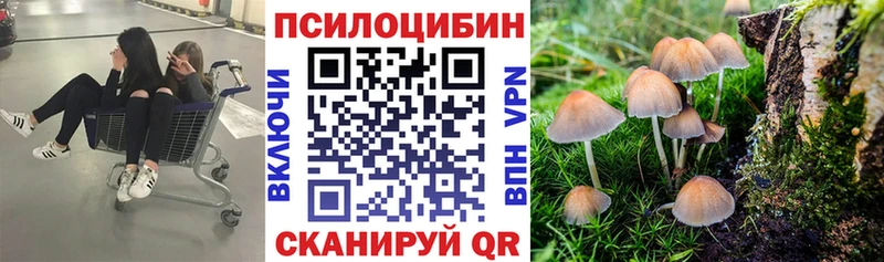 Галлюциногенные грибы Psilocybine cubensis  цена   Вольск 