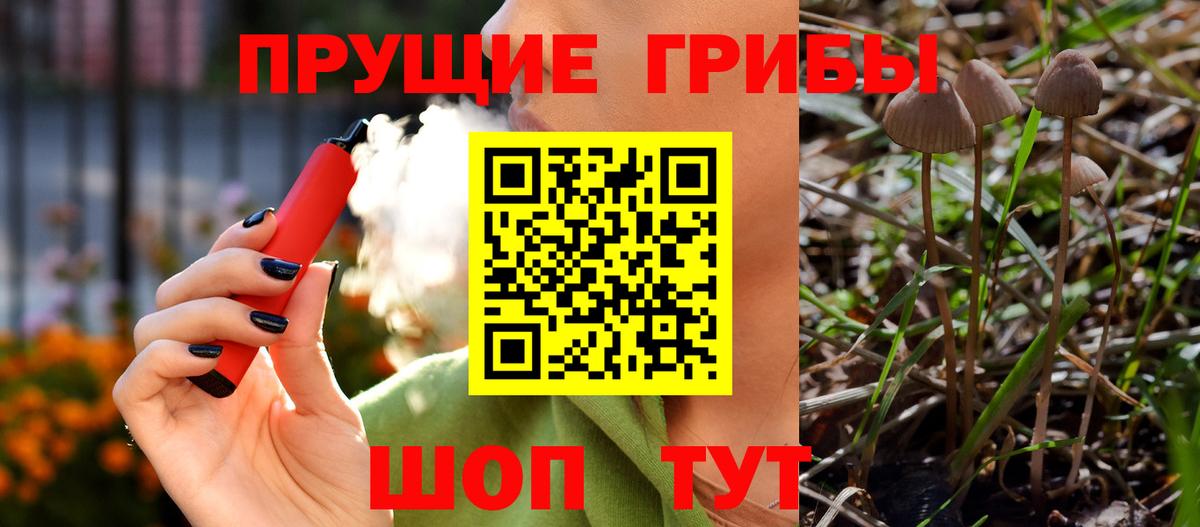 Псилоцибиновые грибы Psilocybe  Вход с VPN  Вольск  Псилоцибиновые грибы MAGIC MUSHROOMS 